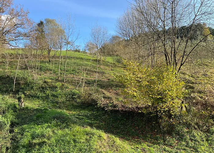 Zubizar ロッジ モルガ