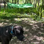 Zubizar ロッジ モルガ