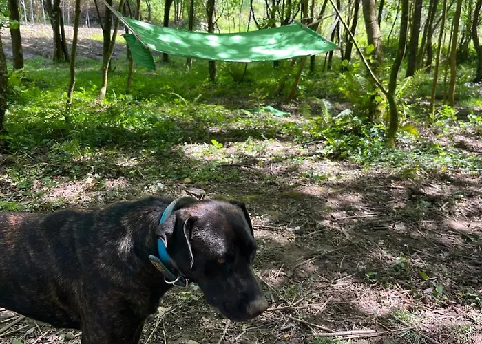 Zubizar ロッジ モルガ